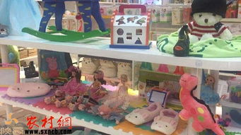 掘金鄉野新藍海 三大農村創業項目，玩具技術開發與銷售引領風潮