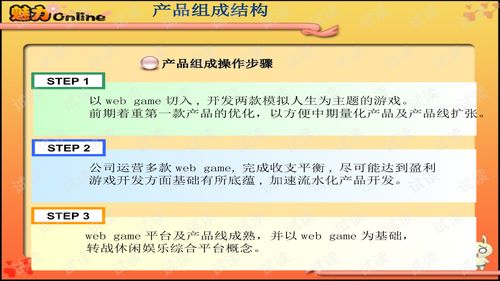 《魅力OL》網游融資計劃書與推廣策略